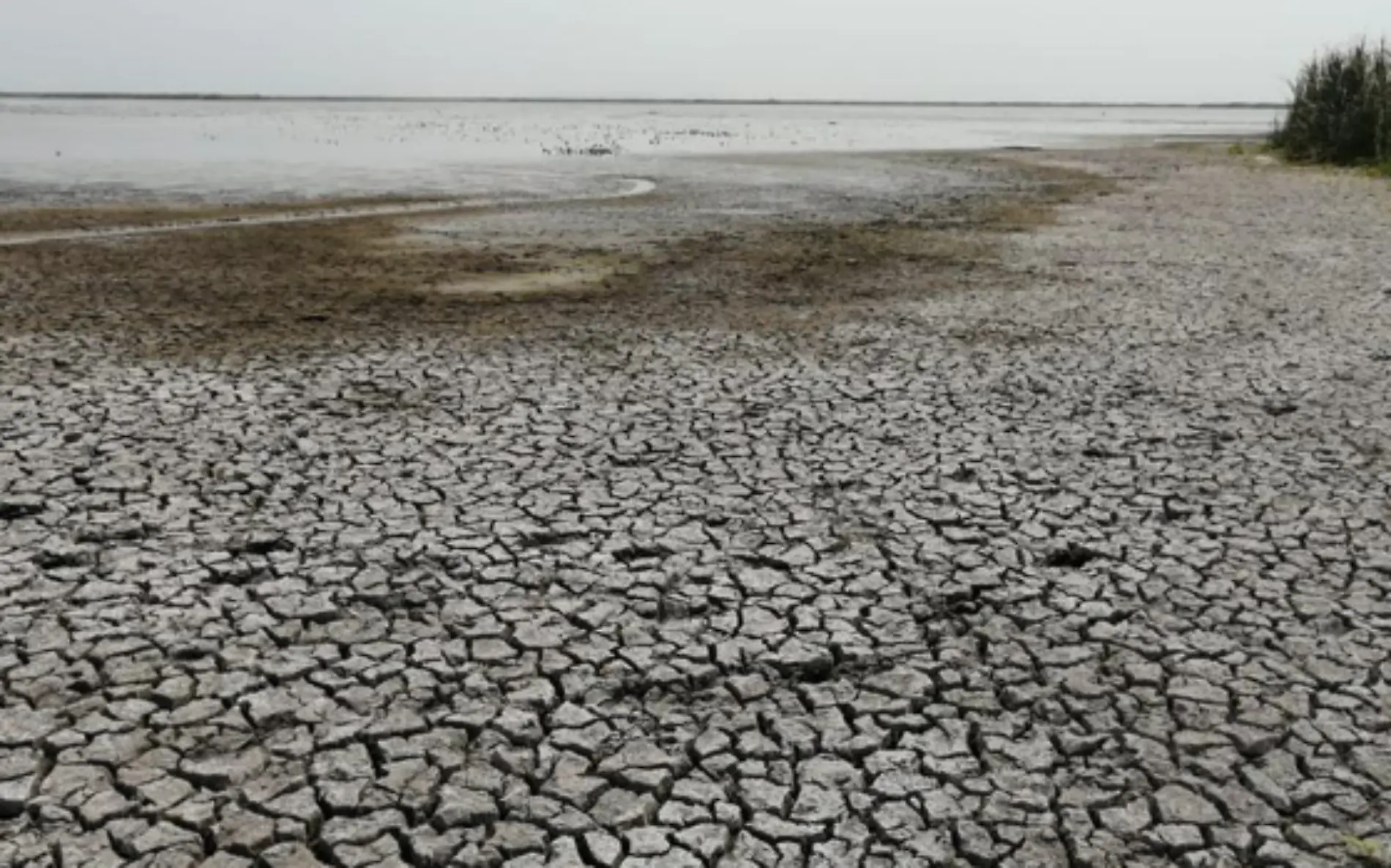 Urge encontrar una solución al problema del agua